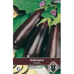 Aubergine, Solanum...