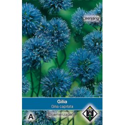 Gilia capitata   -seeds-