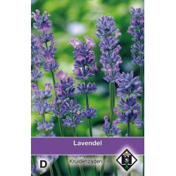 Lavendel / Lavandula   -seeds-