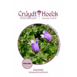 Ruig klokje - Campanula...