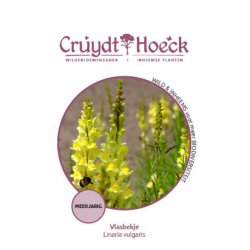 Vlasbekje - Linaria vulgaris